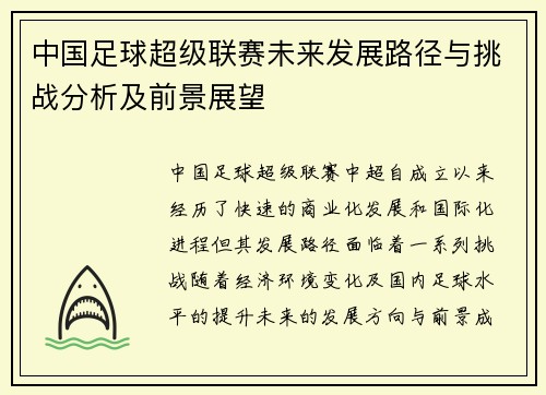 中国足球超级联赛未来发展路径与挑战分析及前景展望